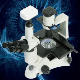 3032 Accu-scope Inverted Phase Contrast Microscope Series