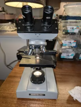812816 Accu-scope 812186 Bristolscope Bristoline #3