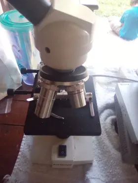 101101385 Amscope Microscope