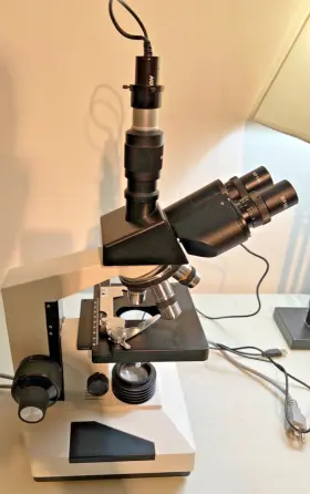 1204450 Amscope Trinocular Microscope With Celestron Usb Camera Great Condition