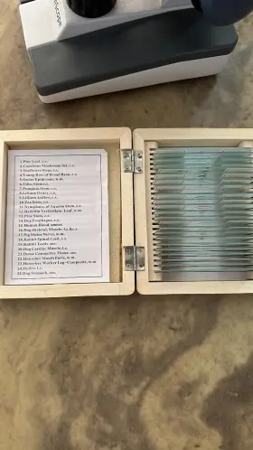 40x-1000x Amscope 1756238 Microscope M150 Series With Slides #3
