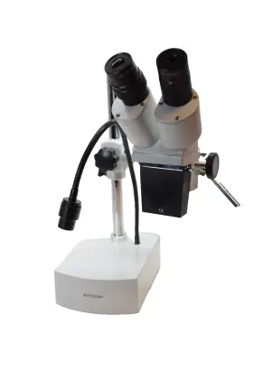 Hg827795 Amscope 100v-240v 10x Mag. Professional Binocular Stereo Microscope