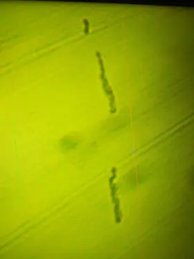 40x-800x Amscope In300tb Long Distance Plan Optical Biological Inverted Microscope #3