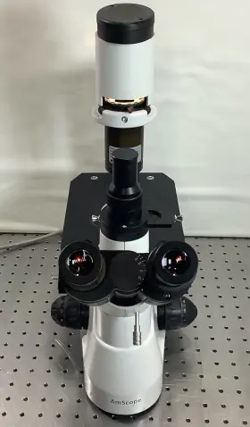 In300tc-fl Amscope Trinocular Microscope With Objectives