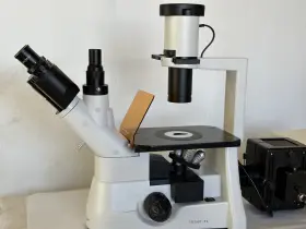 In300t-fl Amscope In300tfl Inverted Fluorescent/phase Contrast Trinocular Microscope