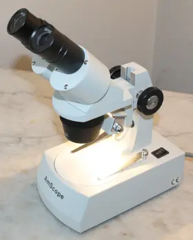 20x-40x-80x Amscope Se306r-az Binocular Stereo Microscope And 2 Halogen Lights