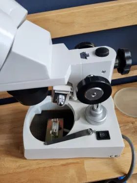 Se306rp20 Amscope Se306-p Binocular Stereo Microscope With Dual Lights #2