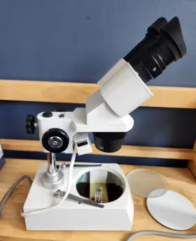 Se306rp20 Amscope Se306-p Binocular Stereo Microscope With Dual Lights