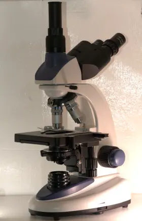 40x-2500x Amscope T380c 1w Led Trinocular Compound Microscope With Free Slides