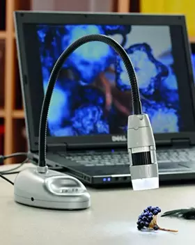 10x-200x Bee-bot Flexi1 Flexi-scope Digital Usb Kids Microscope Handheld Portable Mini R #3