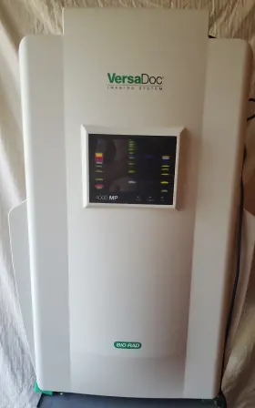4000-mp Bio-rad Versadoc 4000 Mp Molecular Imaging System