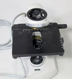 16-9902 Carl Zeiss 16-9902/22 47 09 Microscope With 34 15-99 01 Stage Horse Mount #2
