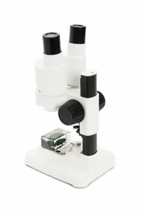 Celestron 050234442077 Labs Binocular Stereo Microscope 20x Magnification #3