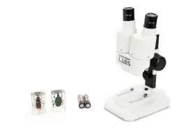 Celestron 050234442077 Labs Binocular Stereo Microscope 20x Magnification