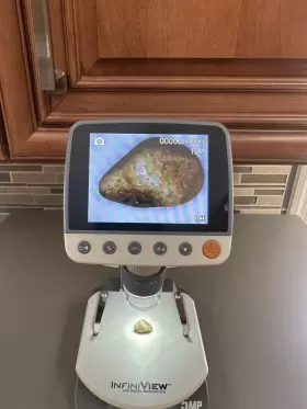 44360 Celestron Infiniview Lcd Digital Microscope - #3
