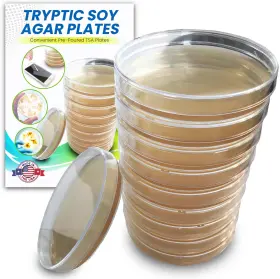 Es Evviva Sciences 855925008187 Tryptic Soy Agar Tsa Plates By - Prepoured Petri Dishes