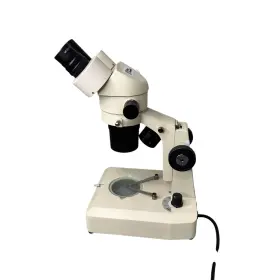 12-562-16 Fisher Stereomaster Stereo Microscope Binocular Wf10x 110v Lighted