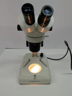 12-562-12 Fisher Scientific Stereomaster Stereo Microscope 10x Wf Eyepieces Dual Light