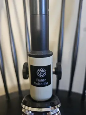 299119 Fisher Scientific Microscope #3