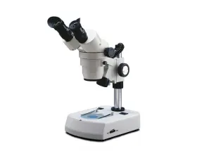 420-430phf-10 Fisher Scientific Fisherbrand Stereo Binocular Zoom Microscope On Post Stand