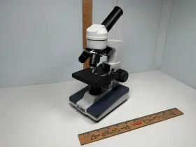 Ms1130 Flinn Basic Scientific Microscope -cordless 10x Eyepiece 4x 40x Lens