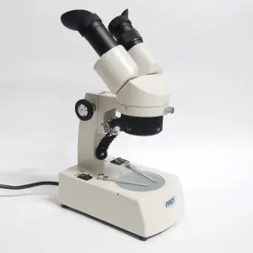 578648 Frey Scientific Microscope Model