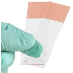 1358n Globe Scientific Microscope Slide Orange 25x75mm Pk72