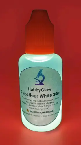 3669 Hobbyglow 30ml Calcofluor White Flourecence Stain For Fungal Elements