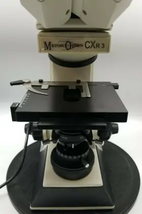 Cxr3 Labomed Binocular Microscoptics Laboratory Microscope Cxriii #3