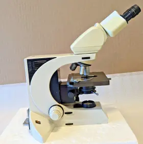 020-519.500 Leica Dmlb Microscope And System Gmbh Wetzlar Type Lb30t Iii/97 #2