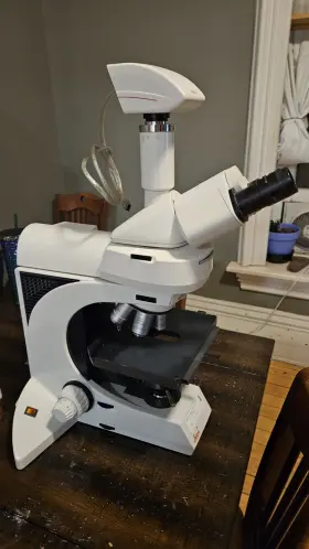020-519.501 Leica Lb30t Dmlb Phase Contrast Microscope - 5x 10x 40x 100x Objectives Camera Stage