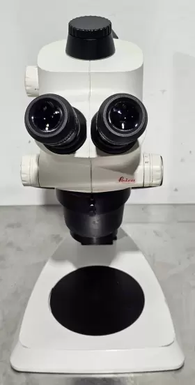 10446297 Leica S6d Stereo Microscope #2