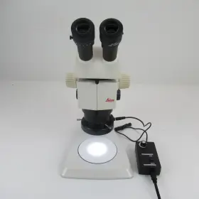 10450155 Leica M80 Stereo Zoom Microscope With 10x Eyepieces 1x Objective And Led Light