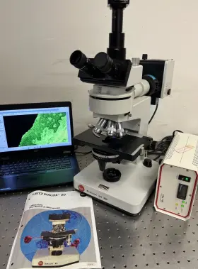 20eb Leica Leitz Dialux 20 Eb Fluorescence Phase Microscope