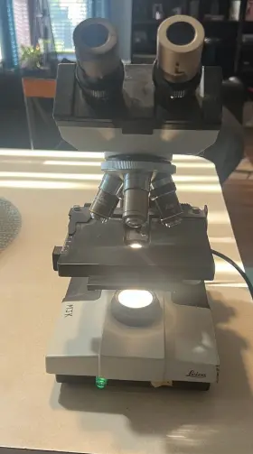 317506 Leica Cambridge Instruments/leica Galen Iii 3 Professional Microscope