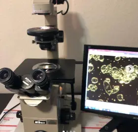 Dm-ls2 Leica Dm Ls2 Upright Phase Contrast Microscope 3 Plan Objectives Tested Working #2