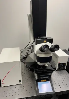 Dm5500 Leica Dm 5500 Microscope Laser Scanning Confocal Tcs Sp2 Fluorescence