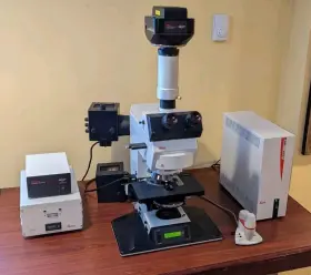 Dmrxa2 Leica Fluorescence/phase/ Pol Motorized Microscope