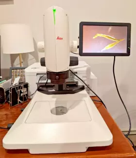 Dms1000 Leica Stereo Microscope #2