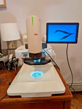 Dms1000 Leica Stereo Microscope #3