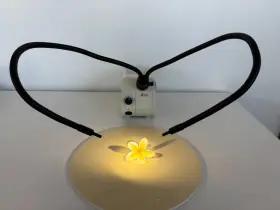 Kl1600 Leica Led Lightsource With Schott 25 Inch Bifurcated Fiber Optic Light Guides
