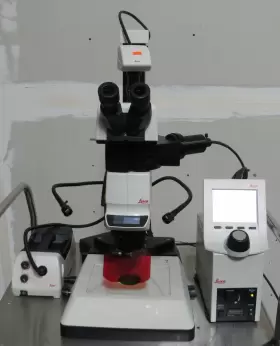 Dfc425c Leica M205-fa T193733 M205 Fa Fluorescence Stereo Microscope With Camera Mhs6 Ctrl
