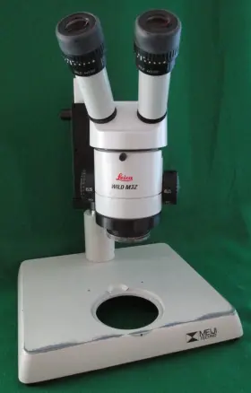 Wild-m3z Leica Wild M3z Binocular Stereo Microscope 16x/14b Eyepieces