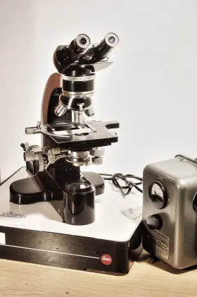 526660 Leitz Rare Original Dialux Ca. 1958 Microscope ... Inch Baby Ortholux Collectable