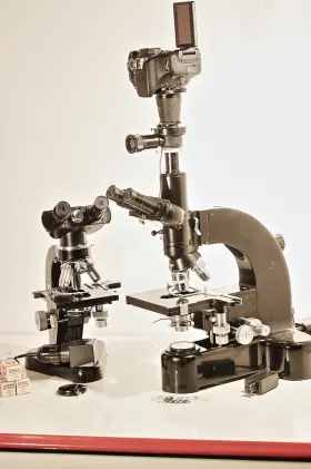 615059 Leitz Lab Partners Work Together - Ortholux Microscope With Student Sm-m Slides