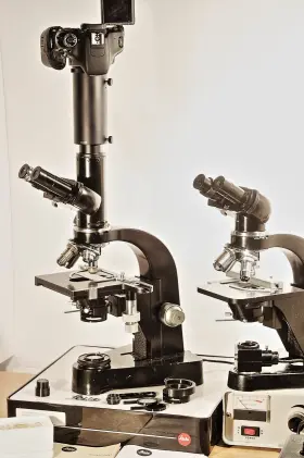 673445-519104 Leitz Pair Of Classic Microscopes No Plastic Junk Laborlux-d And Sm-m Pol Df