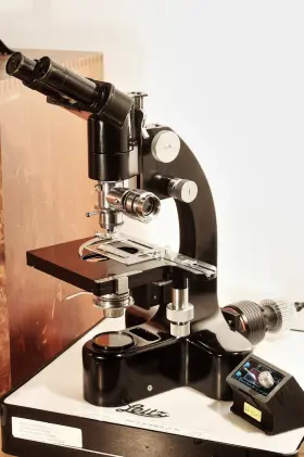 687182 Leitz Special Laborlux-l Ultropak Microscope With Modern Led Illumination