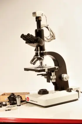 698464 Leitz Laborlux-d Video Microscope With Halogen Lamp Plus Df Pc And Pol C-mount