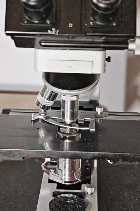 792069 Leitz Orthoplan Microscope With Heine Pv Color Phase - Digital Camera Mps #3
