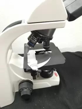 Ba310 Motic Microscope With 4x 10x 40x And 100x Oil Objectives #3